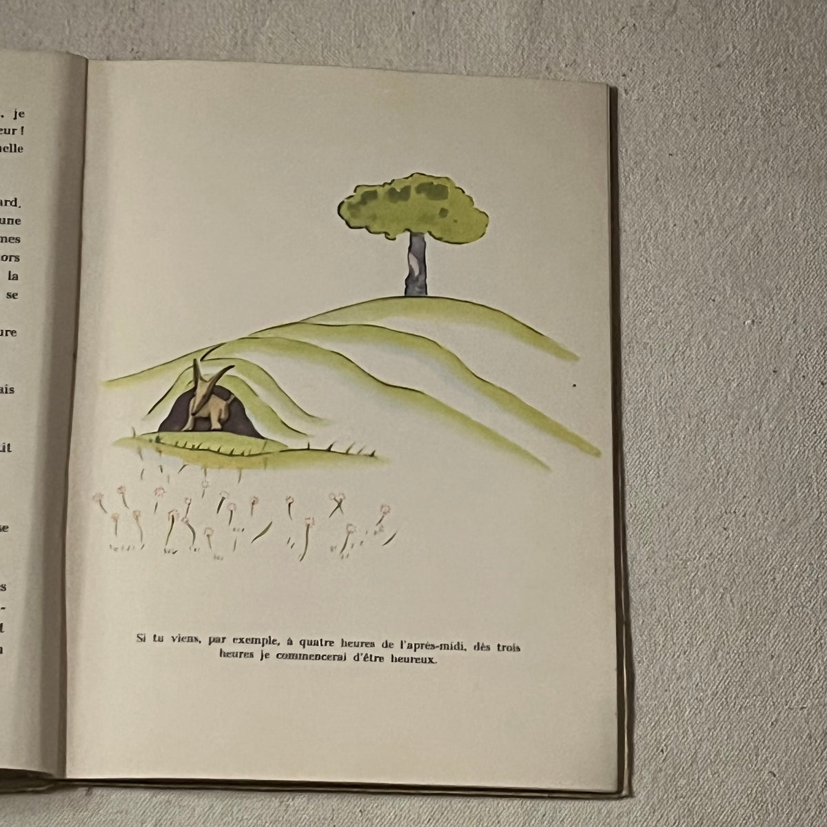 Le Petit Prince, Gallimard