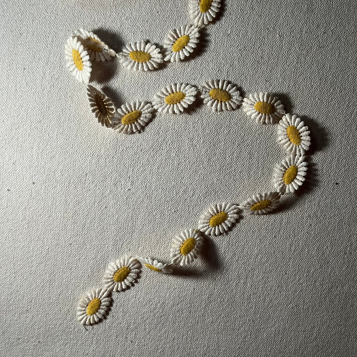 Cinta de margaritas